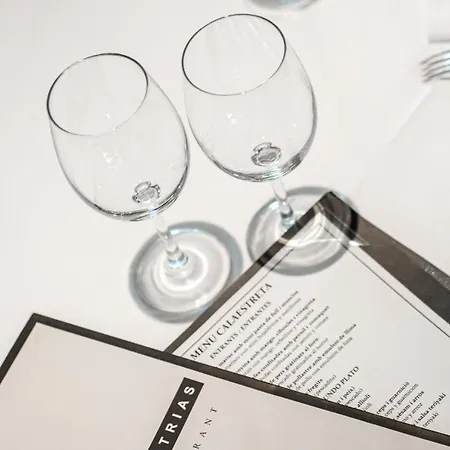 特利亚斯酒店 帕拉莫斯